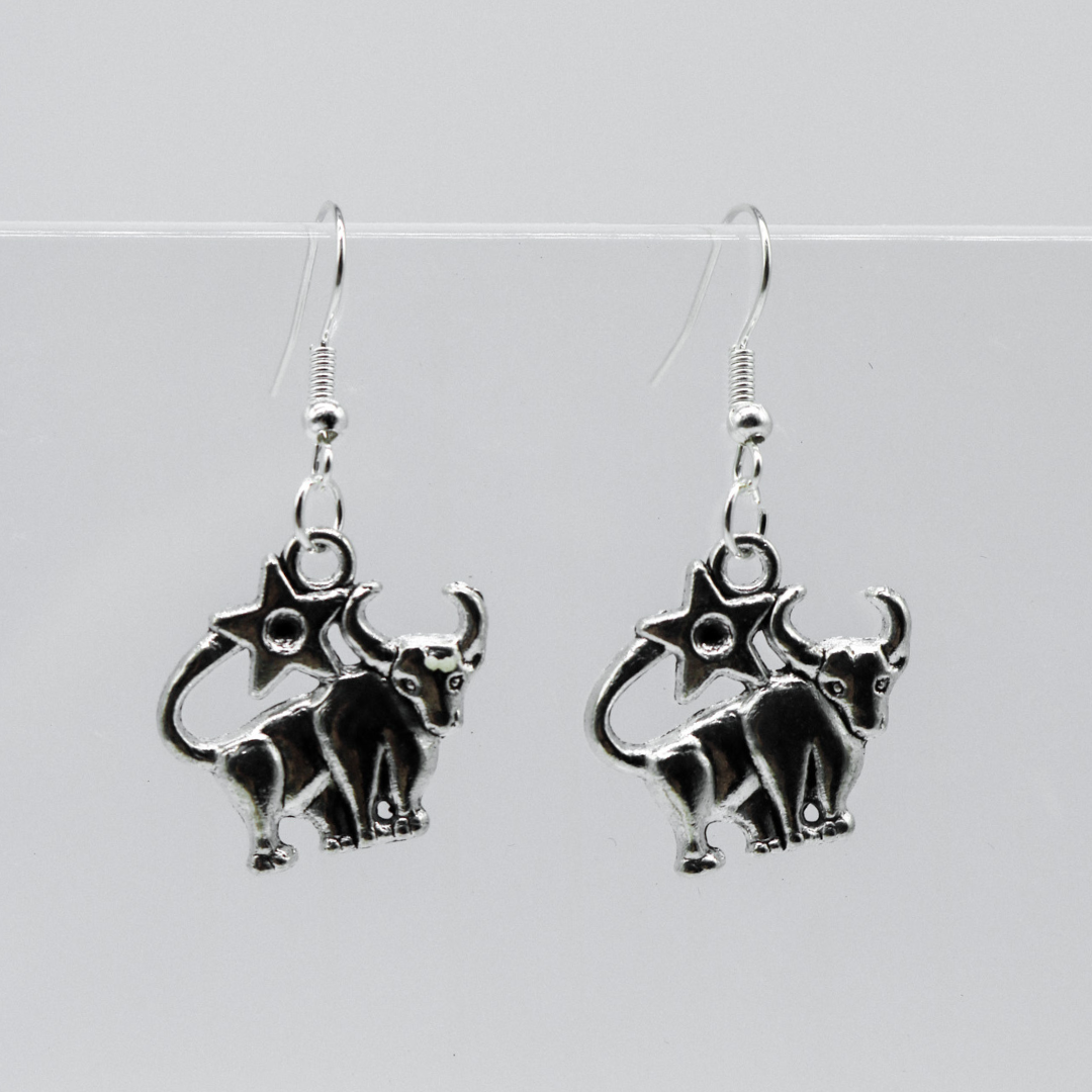 Silver Earrings With Zodiac Symbol Charm