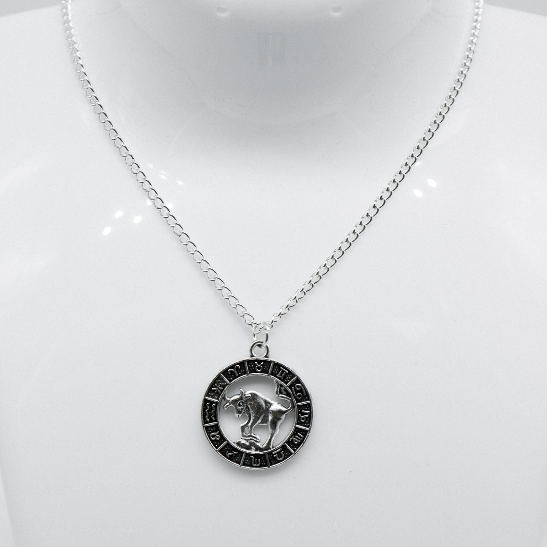 Silver Zodiac Coin Charm Necklace