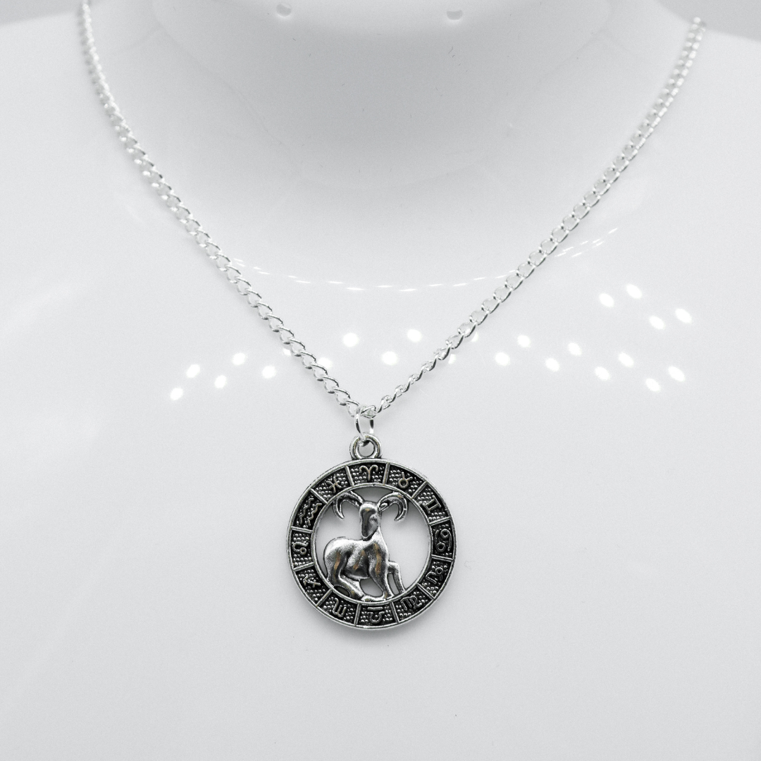 Silver Zodiac Coin Charm Necklace