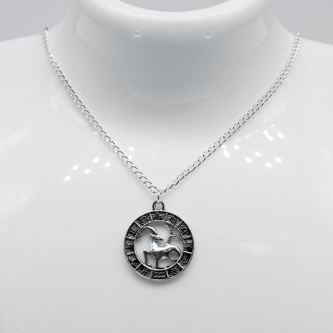 Silver Zodiac Coin Charm Necklace