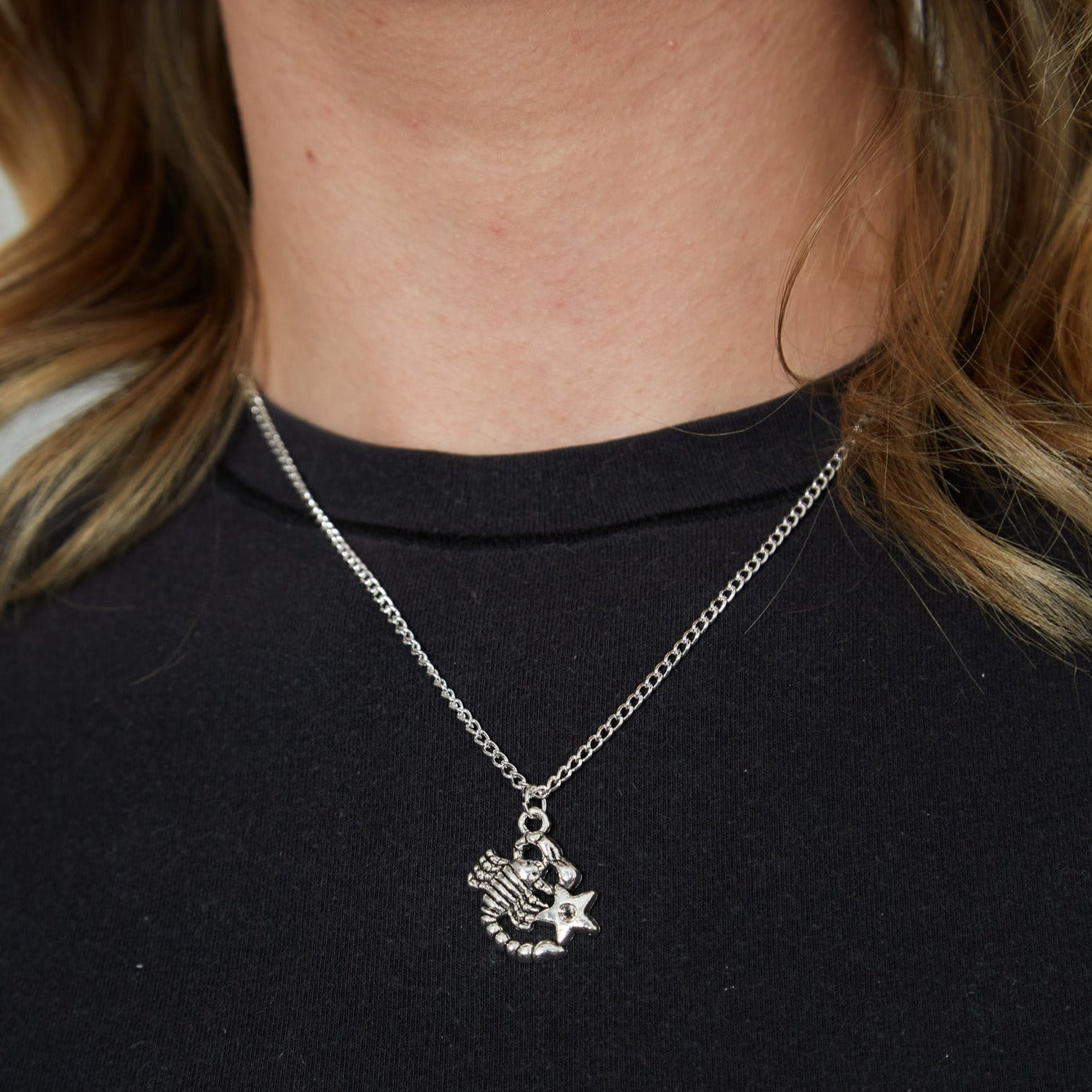 Silver Zodiac Symbol Charm Necklace