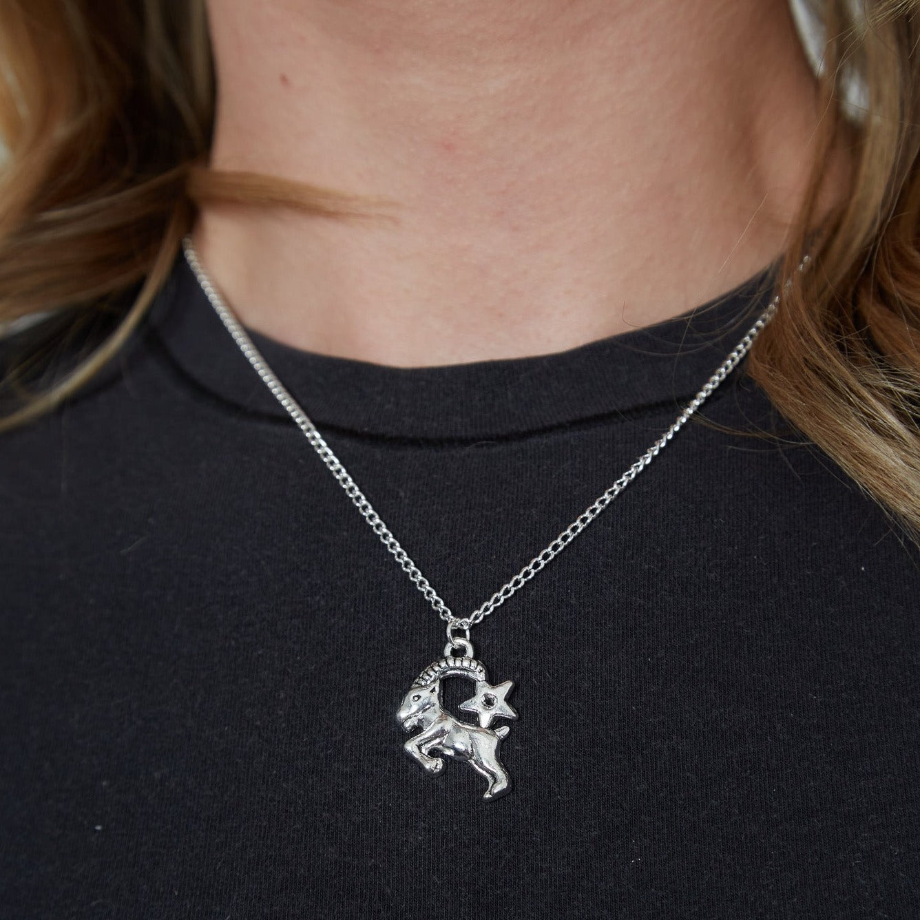 Silver Zodiac Symbol Charm Necklace