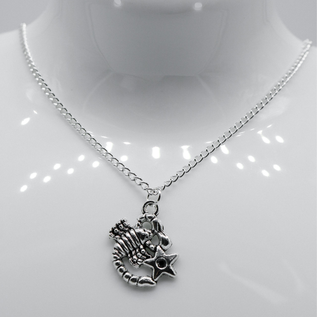 Silver Zodiac Symbol Charm Necklace