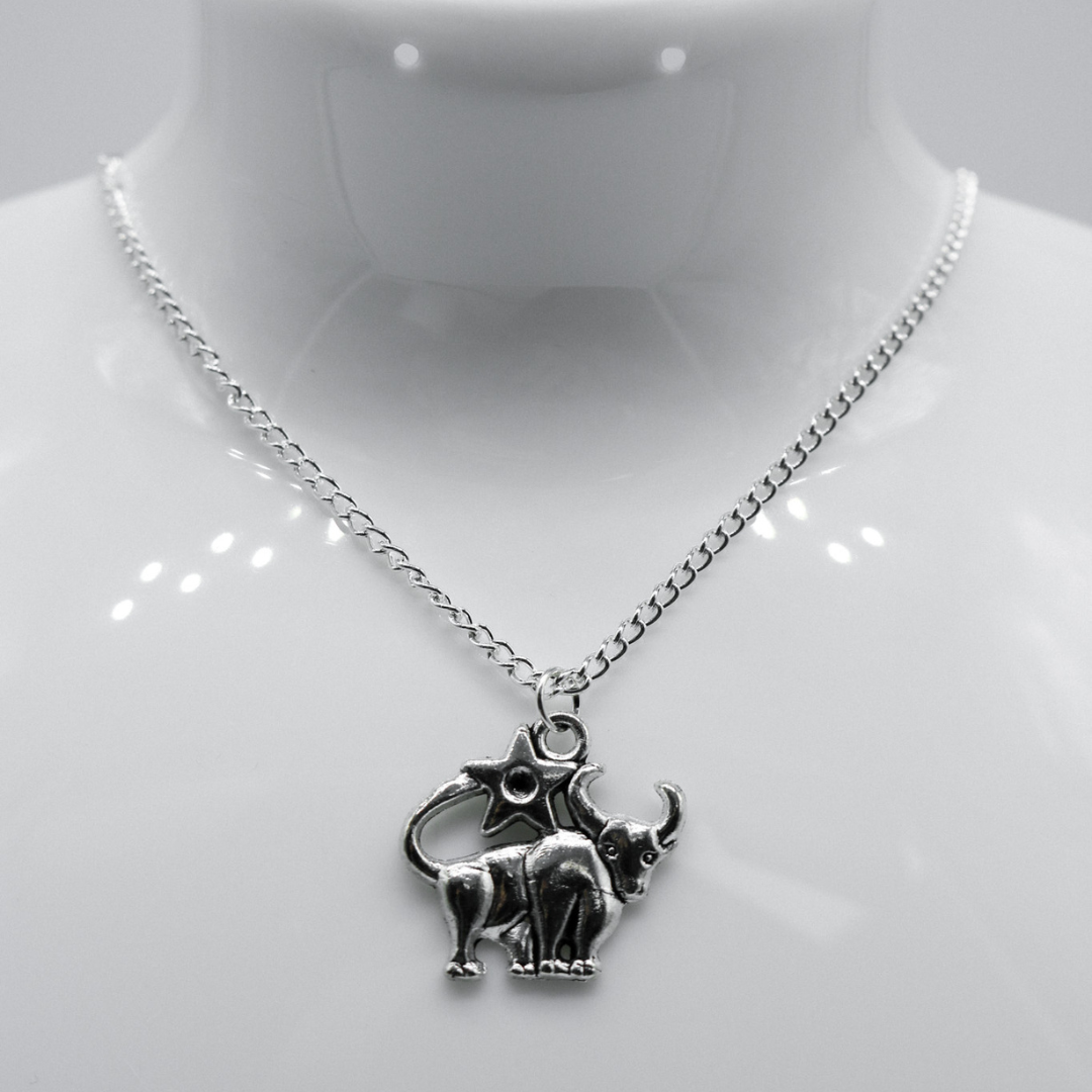 Silver Zodiac Symbol Charm Necklace