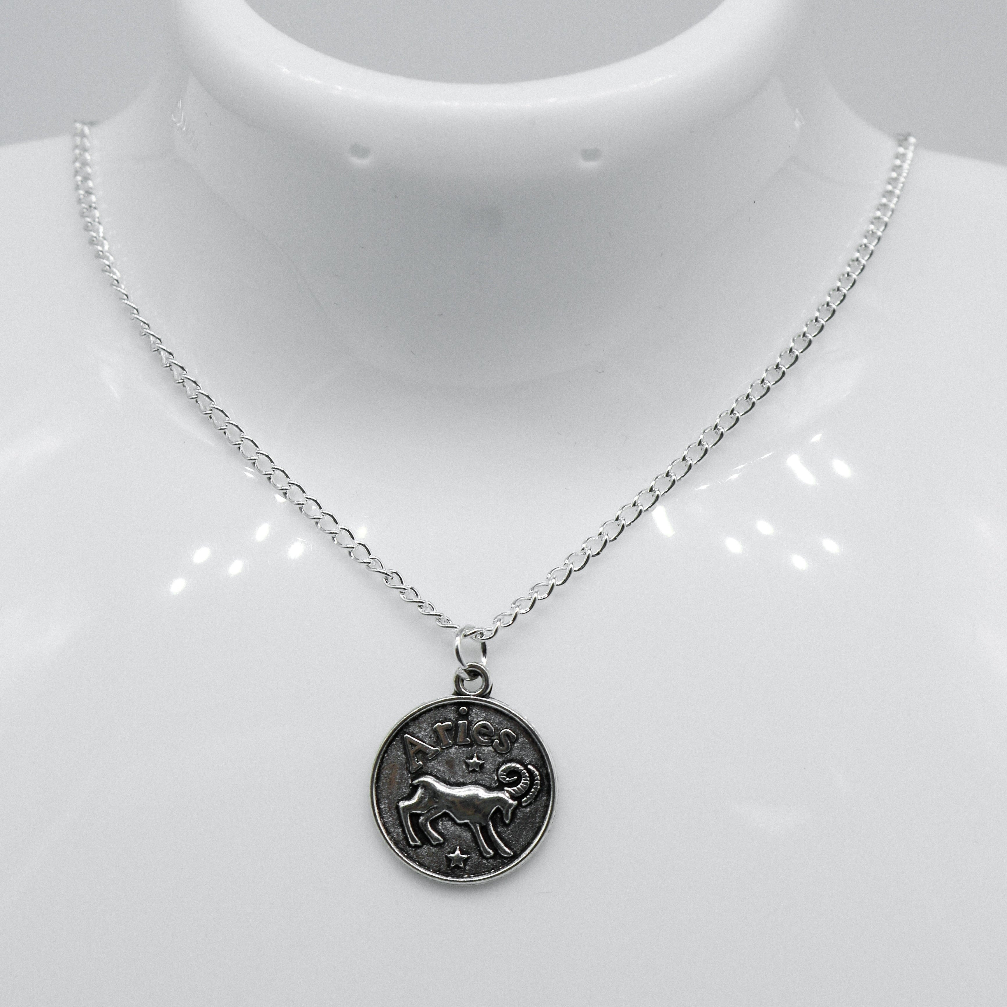 Silver Zodiac Reversible Coin Charm Necklace