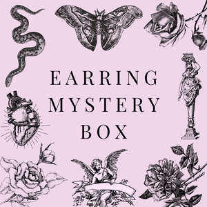 Silver Earrings Mystery Box